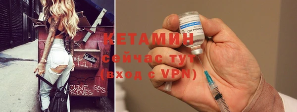 дмт Бородино