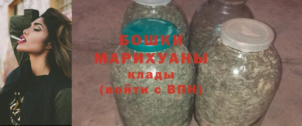 дмт Бородино