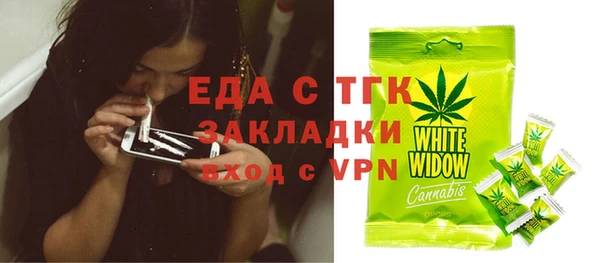 дмт Бородино