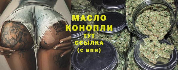дмт Бородино