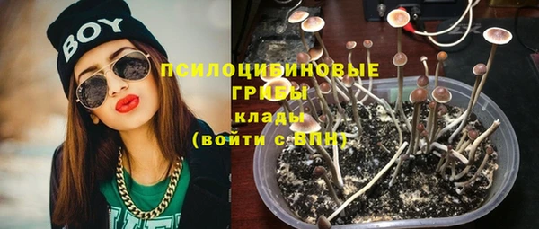 spice Верхний Тагил