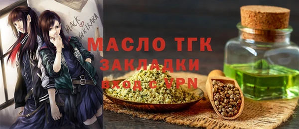 дмт Бородино