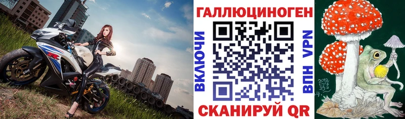 Галлюциногенные грибы Psilocybe  где купить наркотик  Володарск 